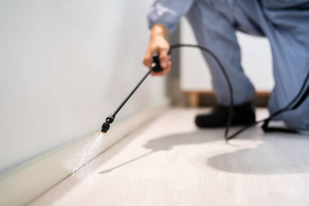 Licensed Termite Control service in Hackettstown, NJ - Show Me Pest Control