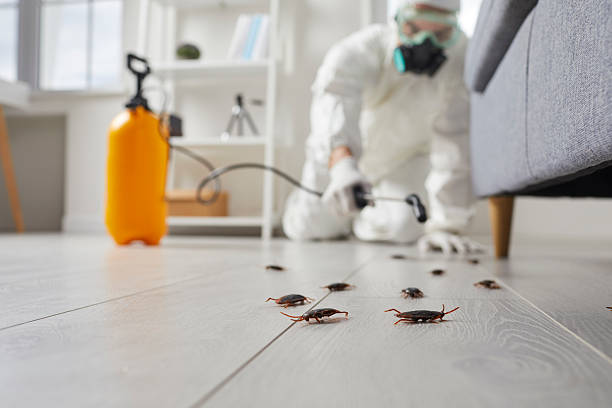 Commercial Rodent Management in Hackettstown